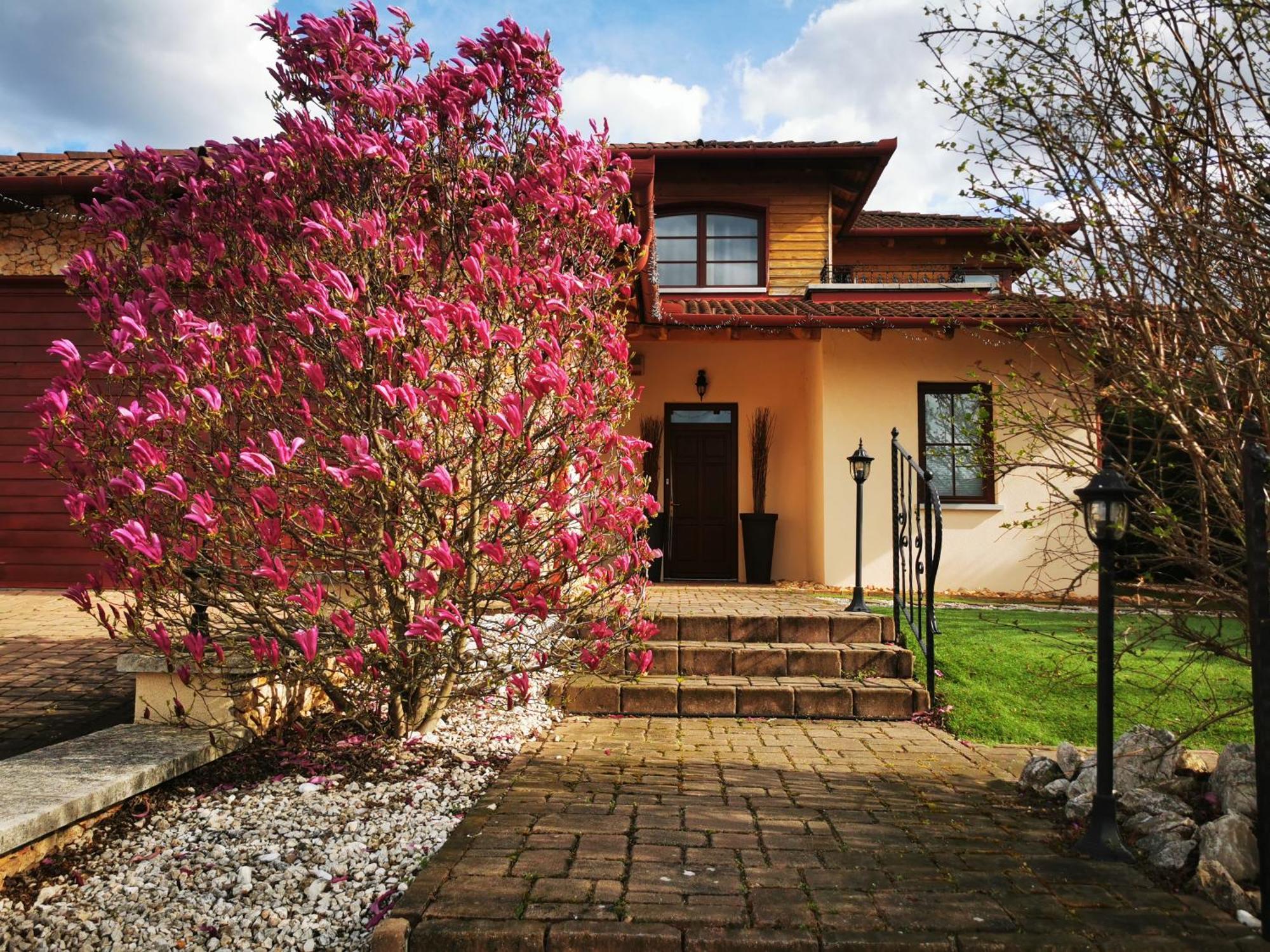 Luxury Basement In The Surrounding Of Budapest Apartment Mogyoród Екстериор снимка